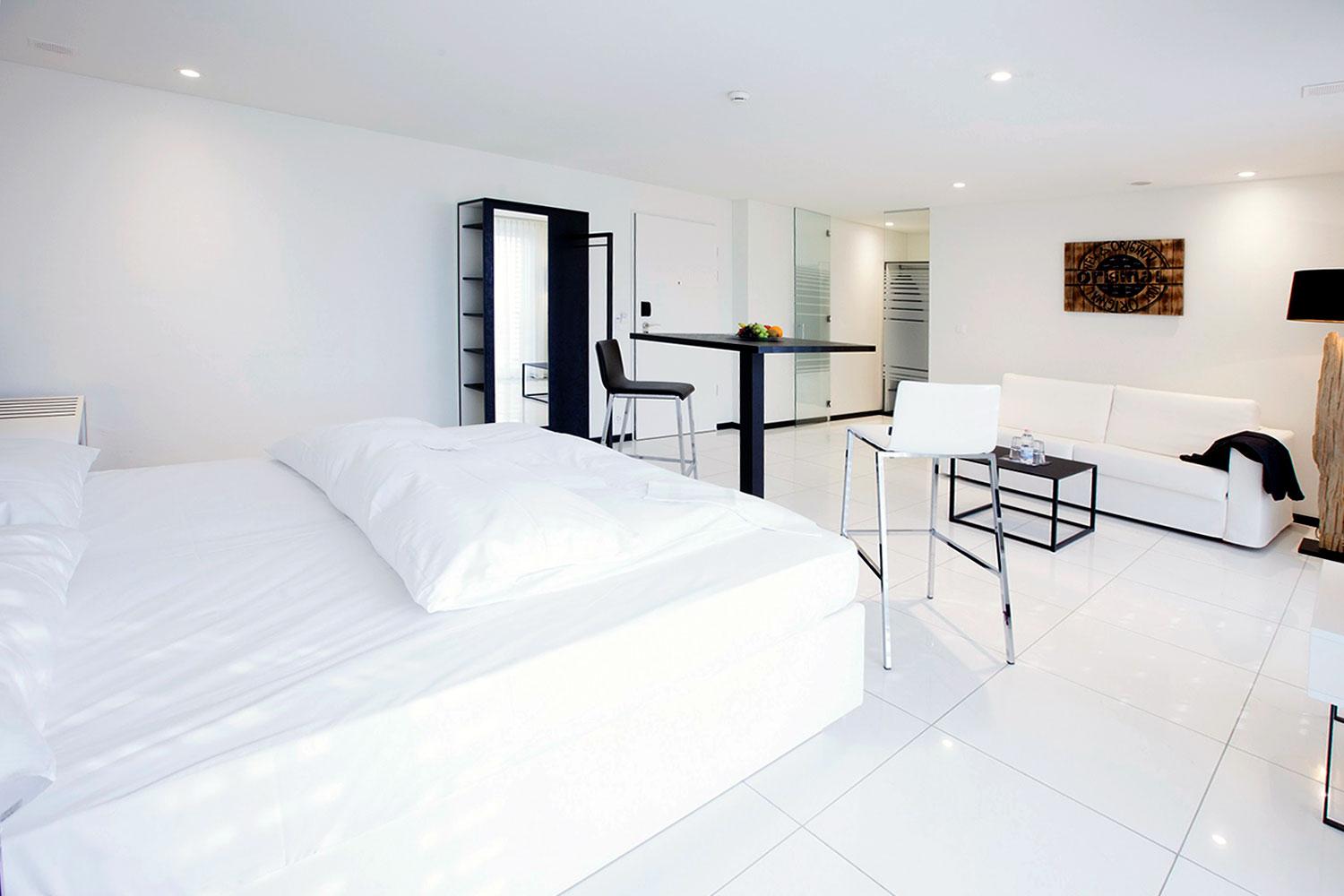 homeComfort-Studio 30 m2 mit Loftküchennutzung - 3