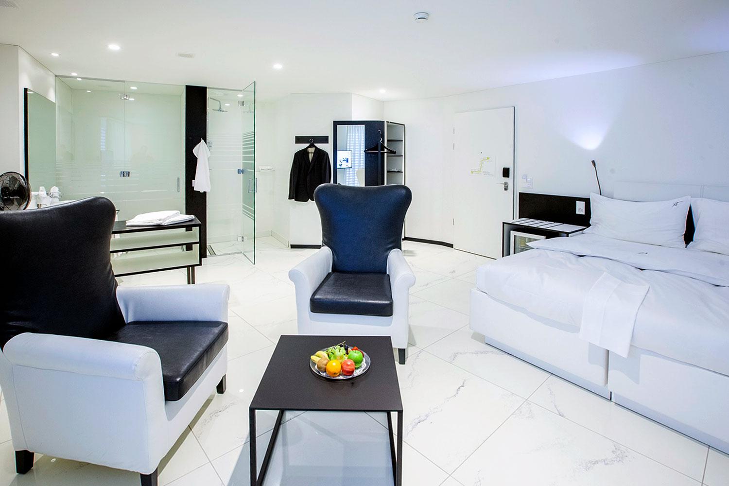 homeComfort-Studio 30 m2 mit Loftküchennutzung - 5